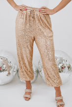 Load image into Gallery viewer, Sequin Drawstring Waist Pants